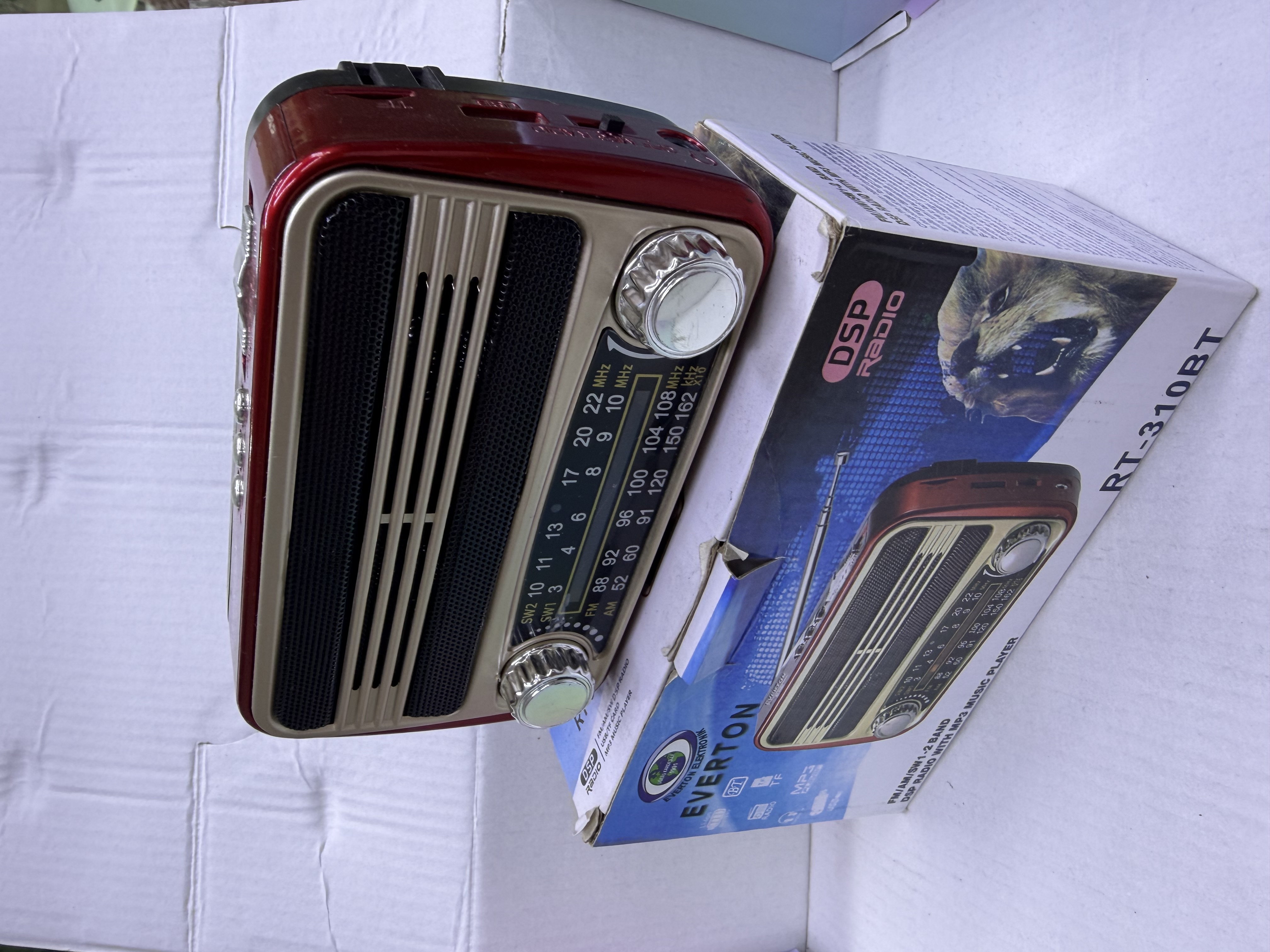EVERTON RADYO RT 310 BT
